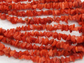 Natural Red Coral Polished Rough Chip Uncut Loose Raw Stone 3X4MM Wholesaler Supplies New Arrival Jewelry Making Beads Strand BK-CR1