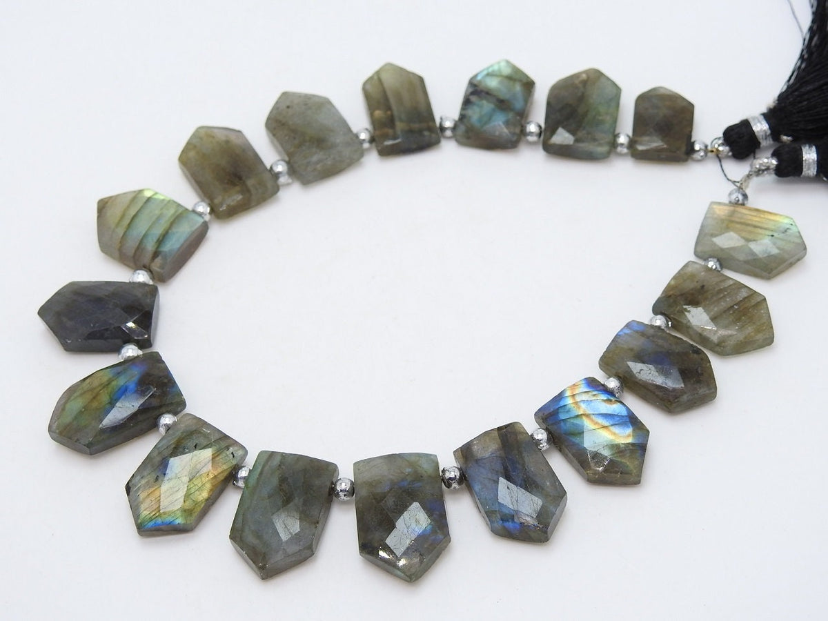 Natural Labradorite Faceted Pentagon Briolette Beads Multi Flash Fire 16pc Strand 21x15-14x11mm Flashy Loose Stone Jewelry Making Supply