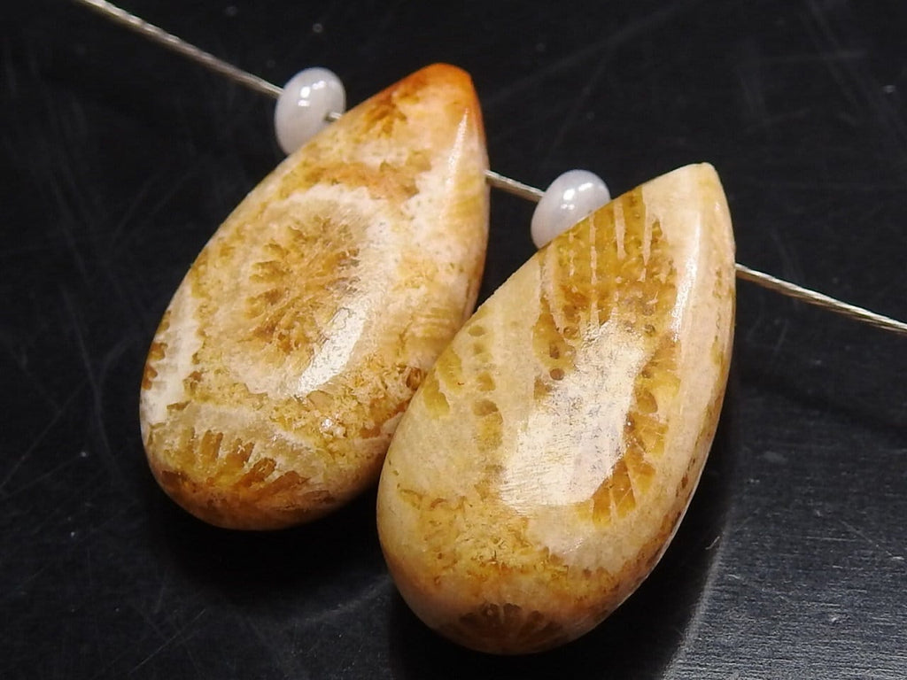 Fossil Coral Smooth Teardrop 2Piece 15x7mm Natural Stone, Handmade Earring Pair Jewelry Making Supplies Agatized Bead Ancient Gemstone
