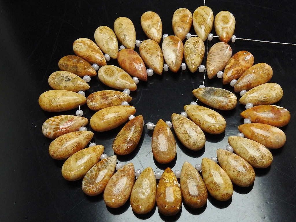 Fossil Coral Smooth Teardrop 2Piece 15x7mm Natural Stone, Handmade Earring Pair Jewelry Making Supplies Agatized Bead Ancient Gemstone