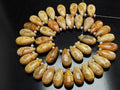 Fossil Coral Smooth Teardrop 2Piece 15x7mm Natural Stone, Handmade Earring Pair Jewelry Making Supplies Agatized Bead Ancient Gemstone