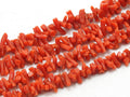 Natural Red Coral Polished Rough Stick-16Inches 5X2To10X2MM Approx-Wholesaler Supplies-New Arrival BK-CR1