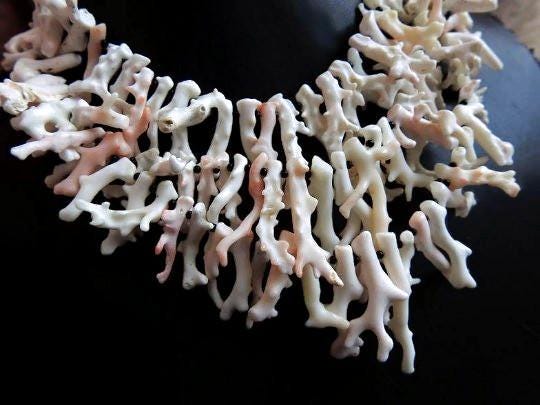 Natural White Coral Sticks Rough Polished Branch Beads 12 Inch Strand Bulk Wholesale Supplies Jewelry Making Genuine Coral Spikes Points