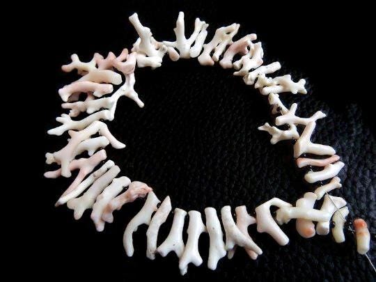 Natural White Coral Sticks Rough Polished Branch Beads 12 Inch Strand Bulk Wholesale Supplies Jewelry Making Genuine Coral Spikes Points
