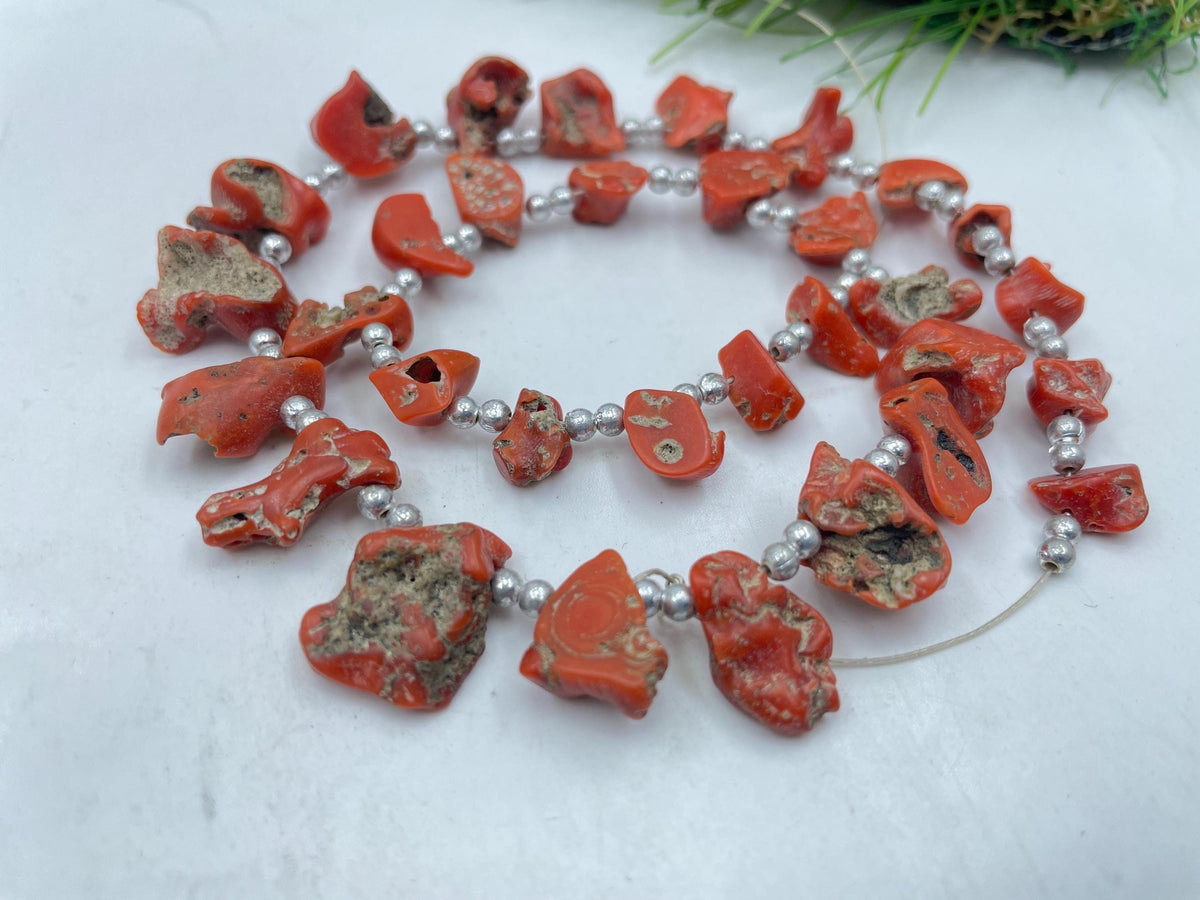 Natural Red Coral Rough Polished Slice Briolette Beads 15-10mm Graduated 14 Inch Strand Loose Gemstone for Handmade Jewelry Making Supplies