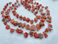 Natural Red Coral Rough Polished Slice Briolette Beads 15-10mm Graduated 14 Inch Strand Loose Gemstone for Handmade Jewelry Making Supplies