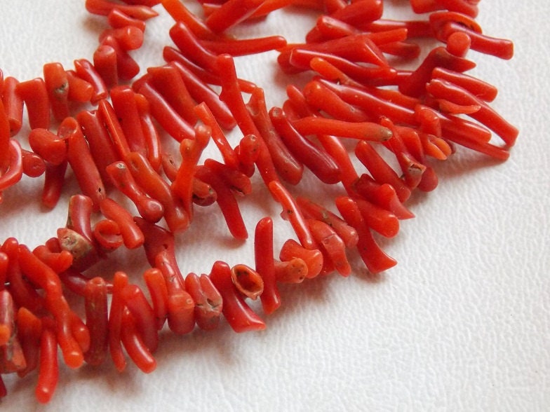 Red Coral Natural Polished Rough Stick Bead Wholesale Price New Arrival BK-CR1