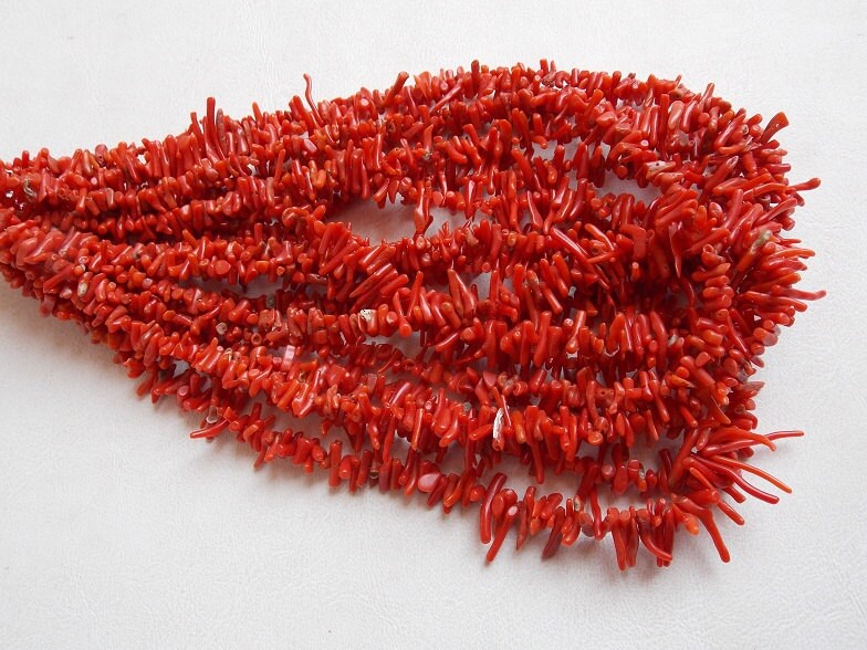 Red Coral Natural Polished Rough Stick Bead Wholesale Price New Arrival BK-CR1
